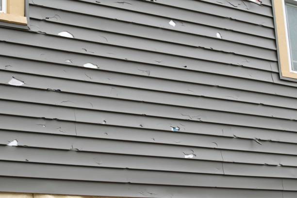 Best Hoarding Cleanup  in Brooktrails, CA